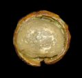 18WA20 Lot 1334 Faceted glass inset, click on image to see larger view.